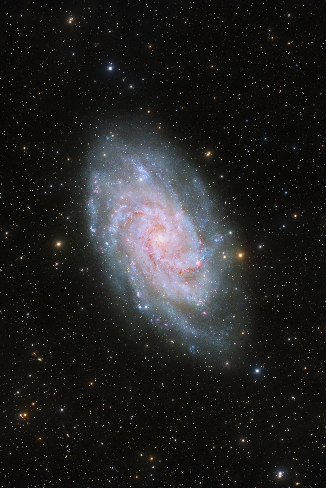 Galaxie du Triangle