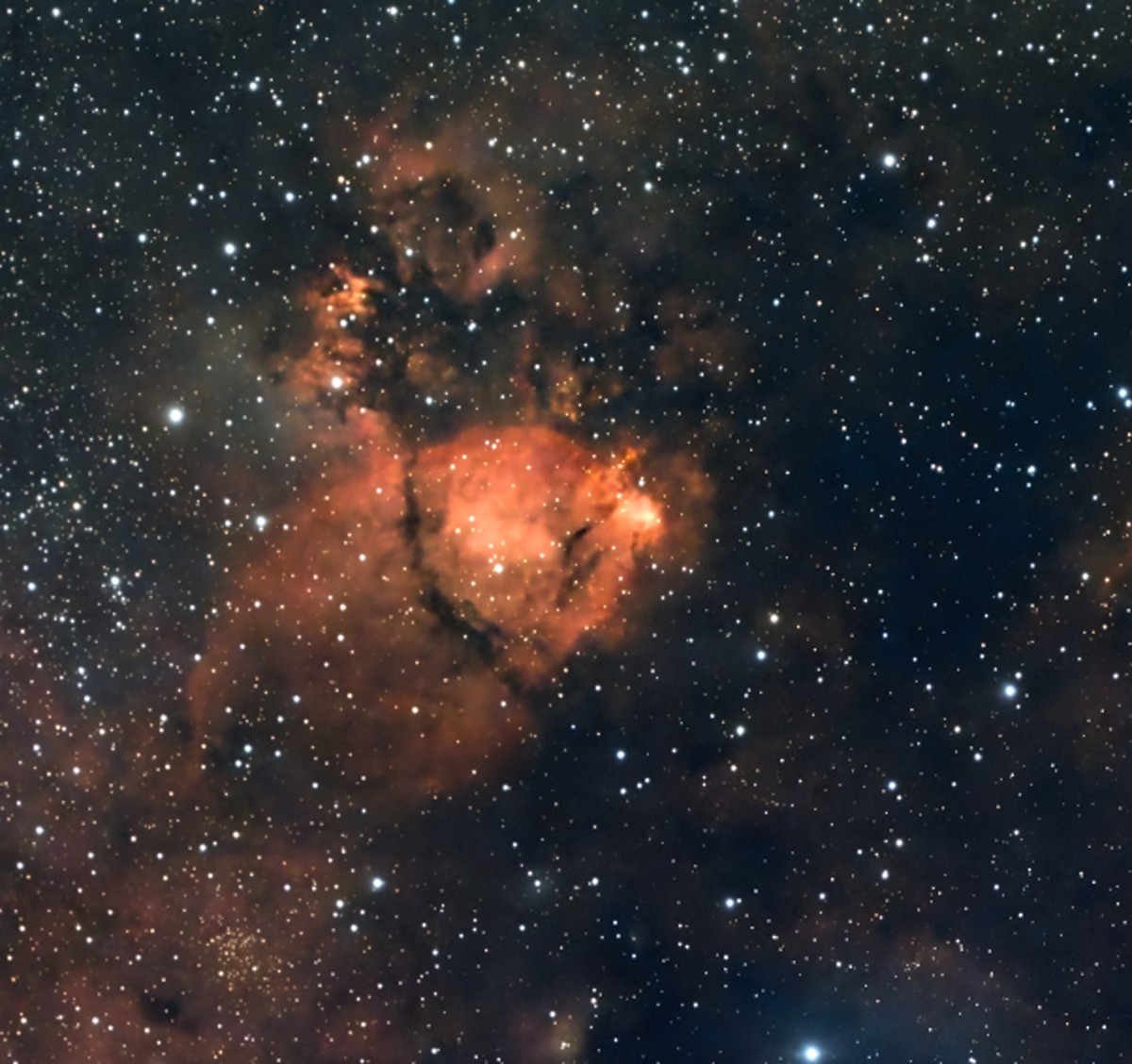 IC 1795, la Tête de Poisson : un nœud de gaz brillant sculpté de voies de poussière sombre, à la pointe de la nébuleuse du Cœur.