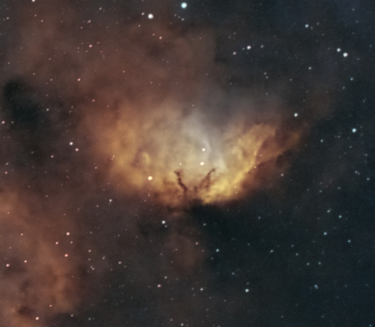 La Tulipe (Sh2-101) : un nuage d'hydrogène en forme de fleur, sculpté de voies de poussière sombre.