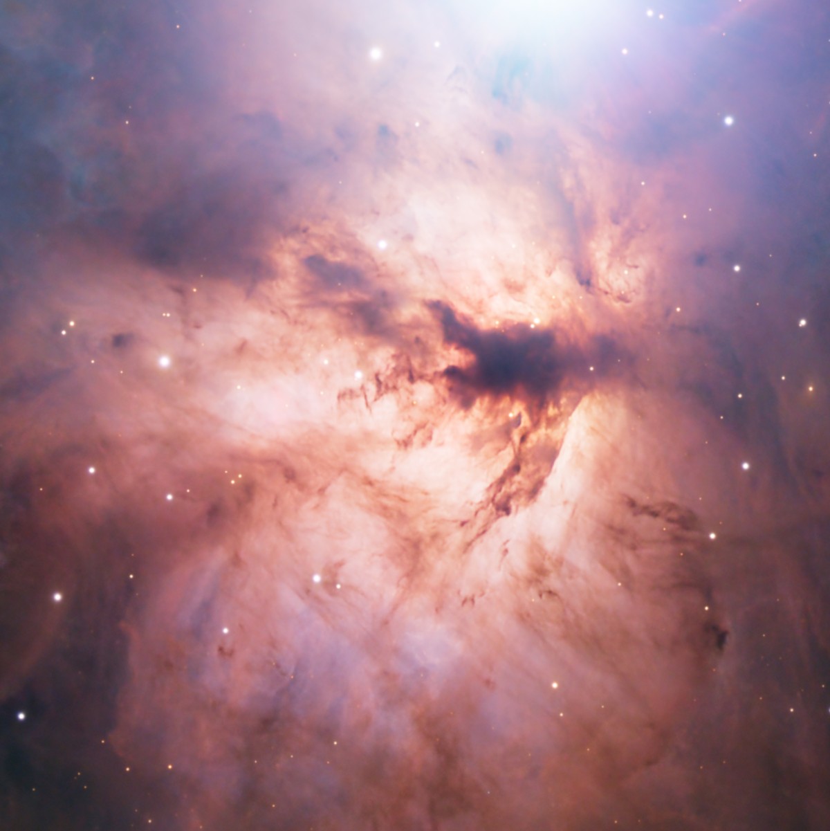 NGC 2024, la Flamme : ses voies de poussière sombre dessinent les langues de feu, devant un amas de très jeunes étoiles.
