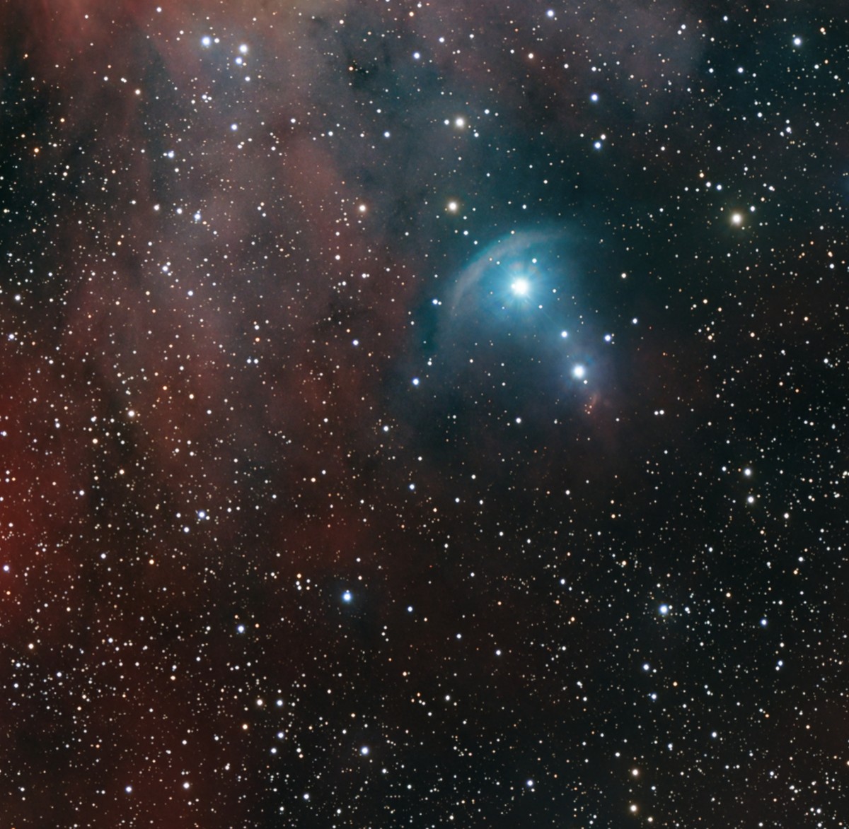 FN Canis Majoris, une étoile en fuite : lancée à travers le nuage, elle comprime le gaz devant elle en une vague d'étrave bleutée.