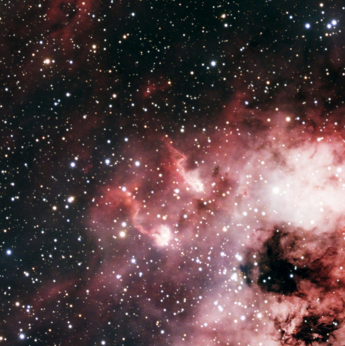 Les Têtards d'IC410 : deux globules de gaz dense dont les queues, sculptées par les vents de l'amas NGC 1893, pointent à l'opposé des jeunes étoiles.