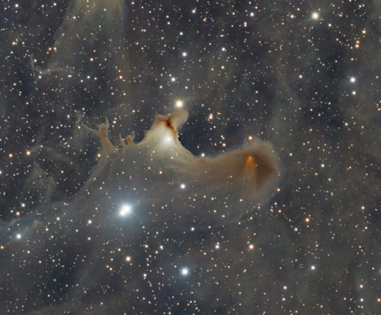 vdB 141, la nébuleuse du Fantôme : une réflexion brune en forme de silhouette, où de nouvelles étoiles pourraient un jour s'allumer.