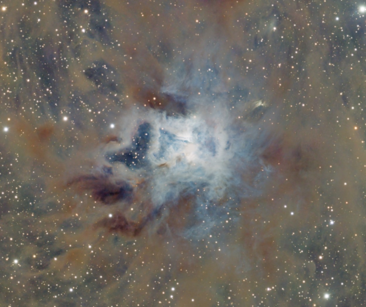 Le cœur de l'Iris (NGC 7023) : la fleur bleue de réflexion autour de son étoile centrale, découpée par de sombres veines de poussière.