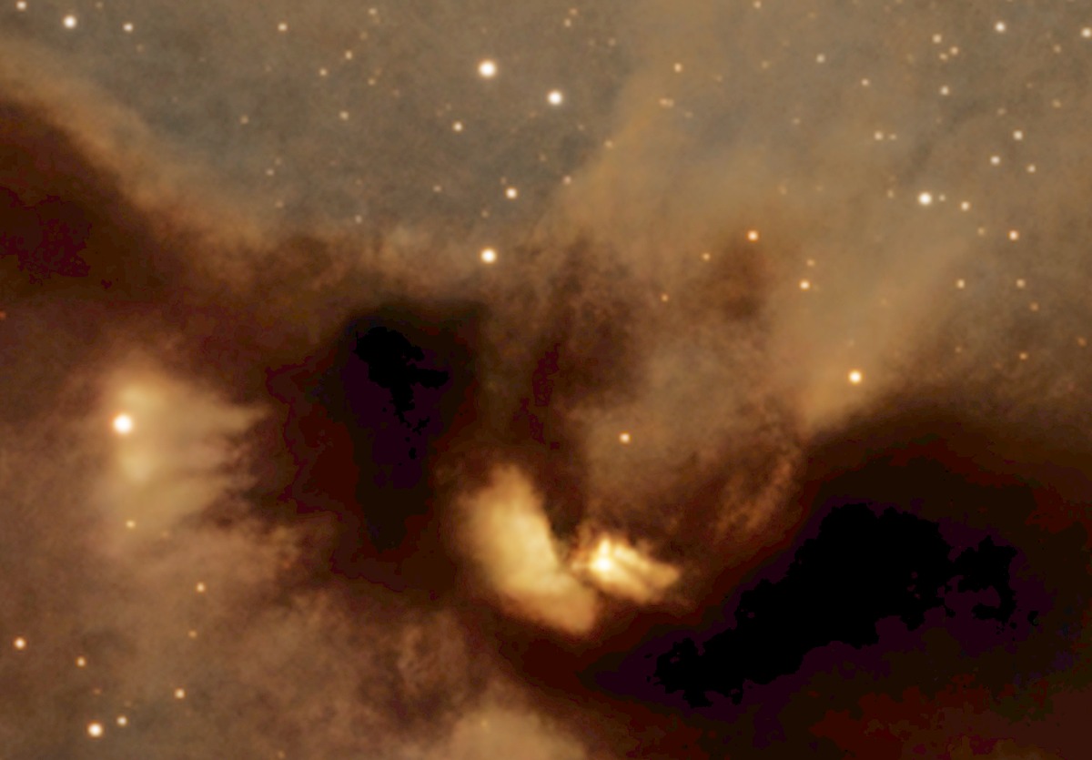 Le cœur de la Chauve-souris : la lumière des protoétoiles RNO 91 et RNO 90 s'échappe des cavités qu'elles creusent dans la poussière, l'une coupée par la tranche de son disque.