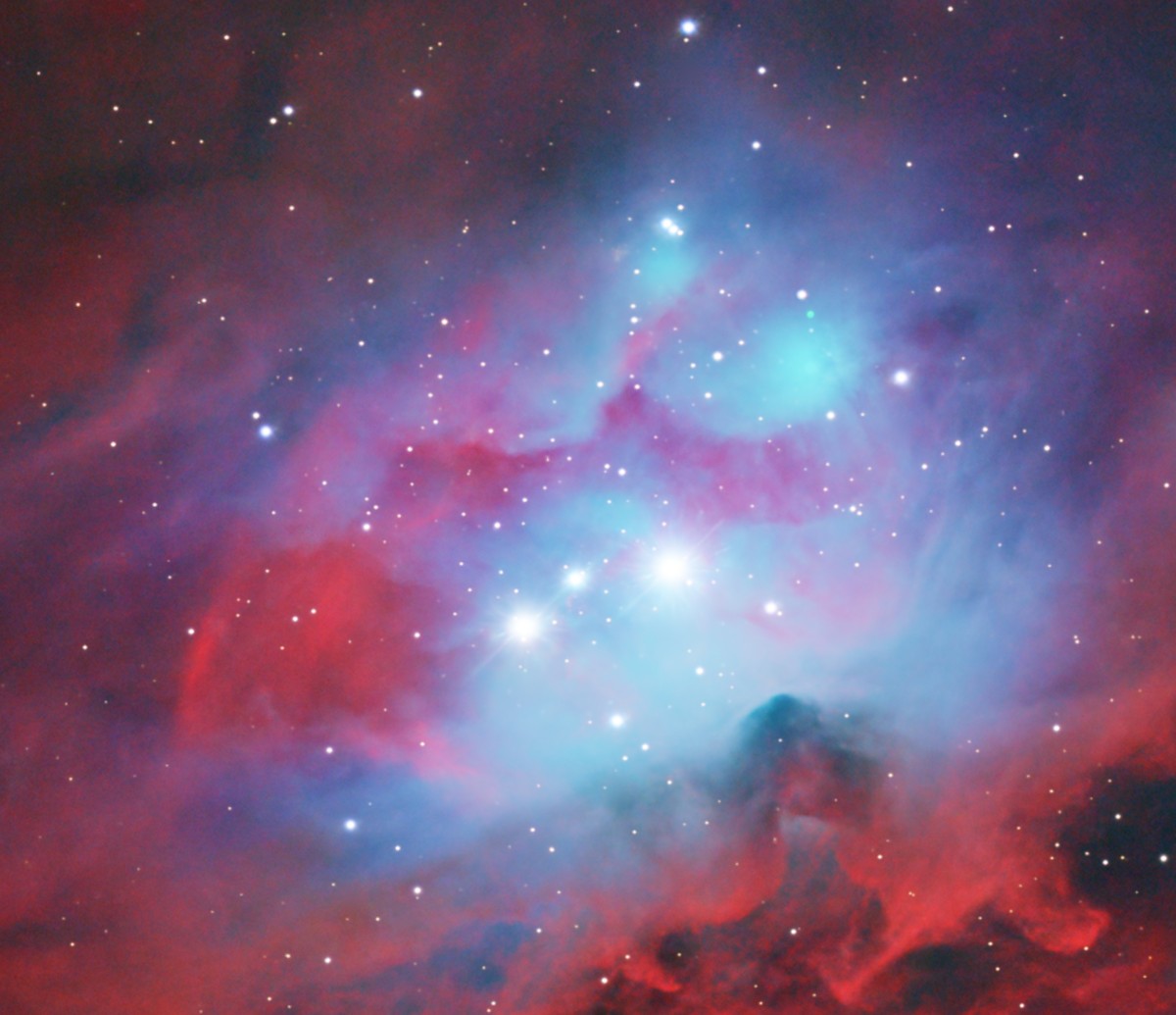 NGC 1977, le Coureur : une nébuleuse en réflexion bleue où un nuage de poussière sombre dessine une silhouette en pleine course.