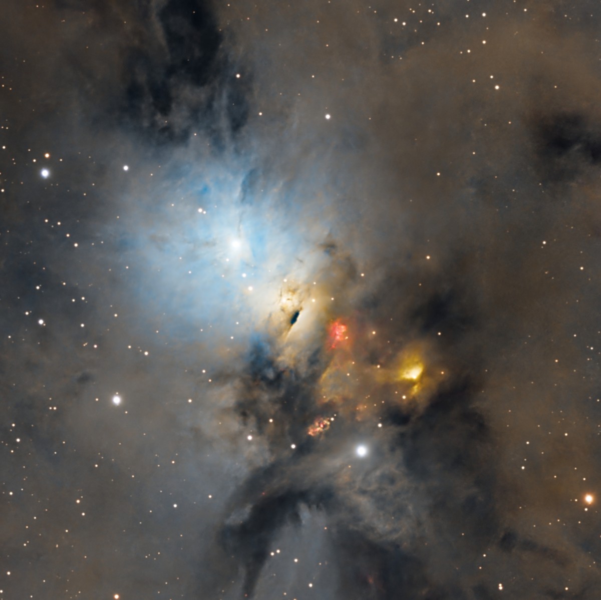 La nébuleuse de l'Embryon : une réflexion bleutée autour de jeunes étoiles, parsemée des éclats rouges des jets d'Herbig-Haro.