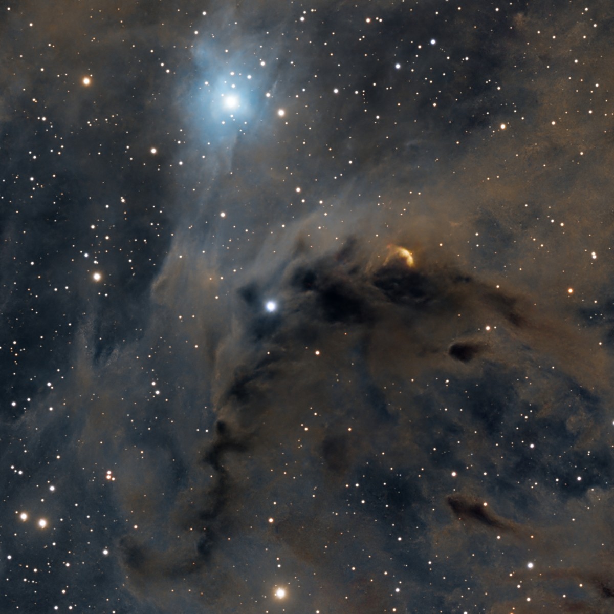 Un globule sombre du nuage de Persée : un dense cocon de poussière qui masque les étoiles d'arrière-plan et abrite de nouvelles étoiles.