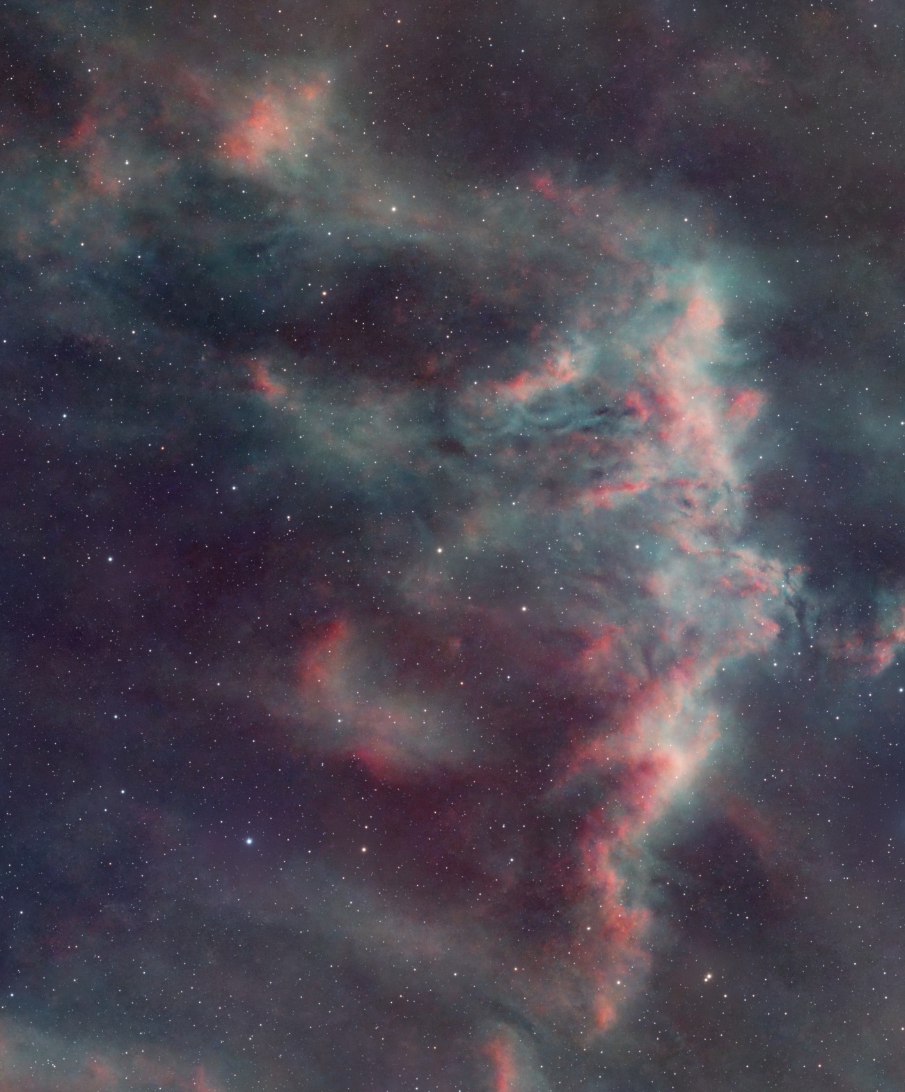 Sh2-303 : le nuage d'hydrogène surnommé « récif de corail », excité en partie par EZ Canis Majoris, l'étoile qui a soufflé le dauphin.